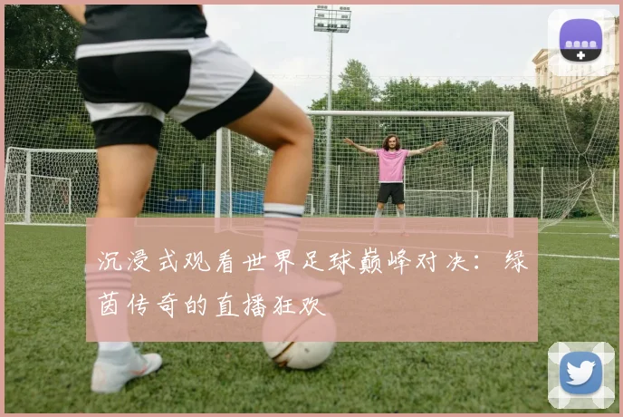 沉浸式观看世界足球巅峰对决:绿茵传奇的直播狂欢
