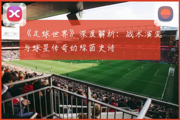 《足球世界》深度解析：战术演变与球星传奇的绿茵史诗